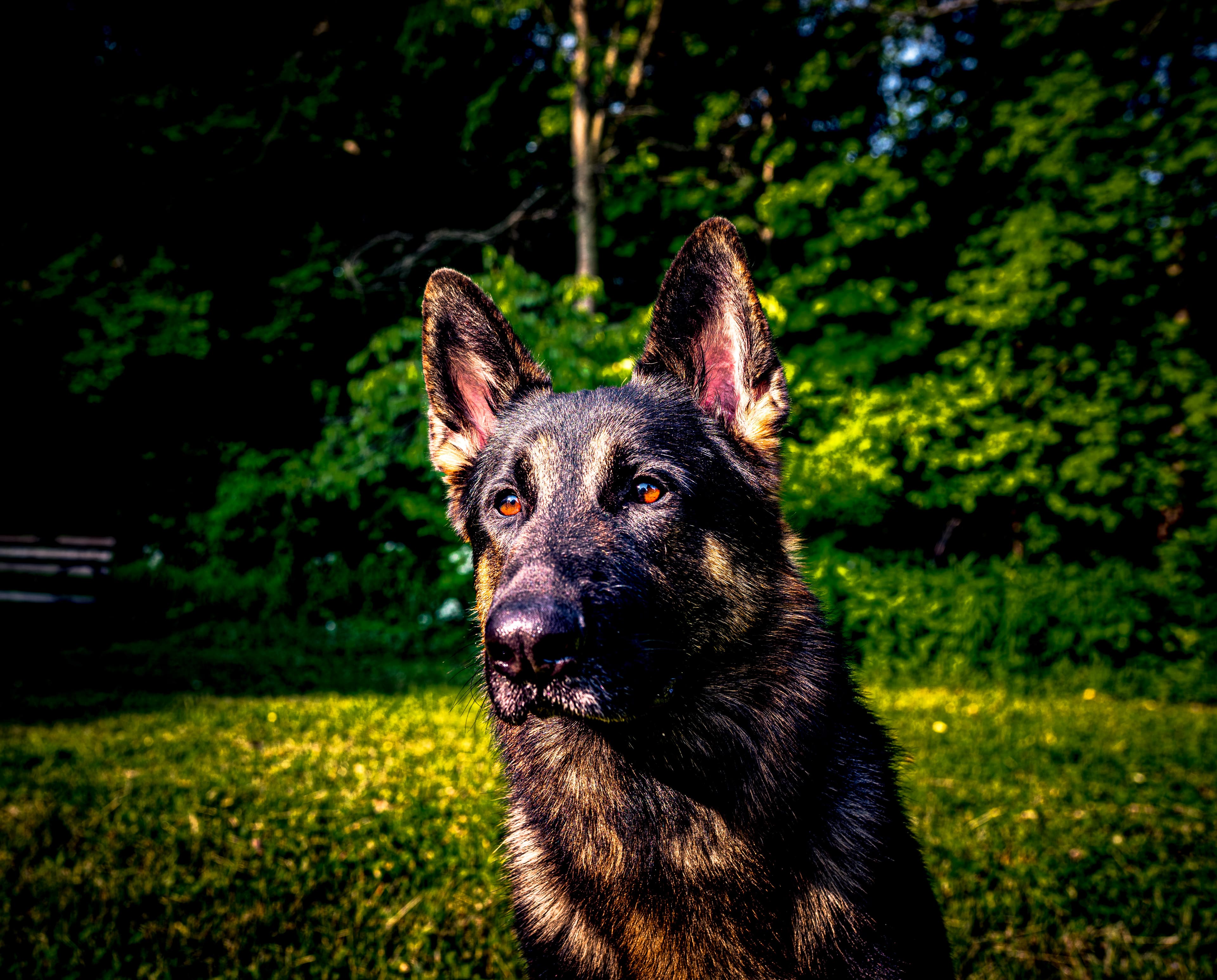 Enjoy Your Slay Photography - Romantic boudoir photographer in Louisville