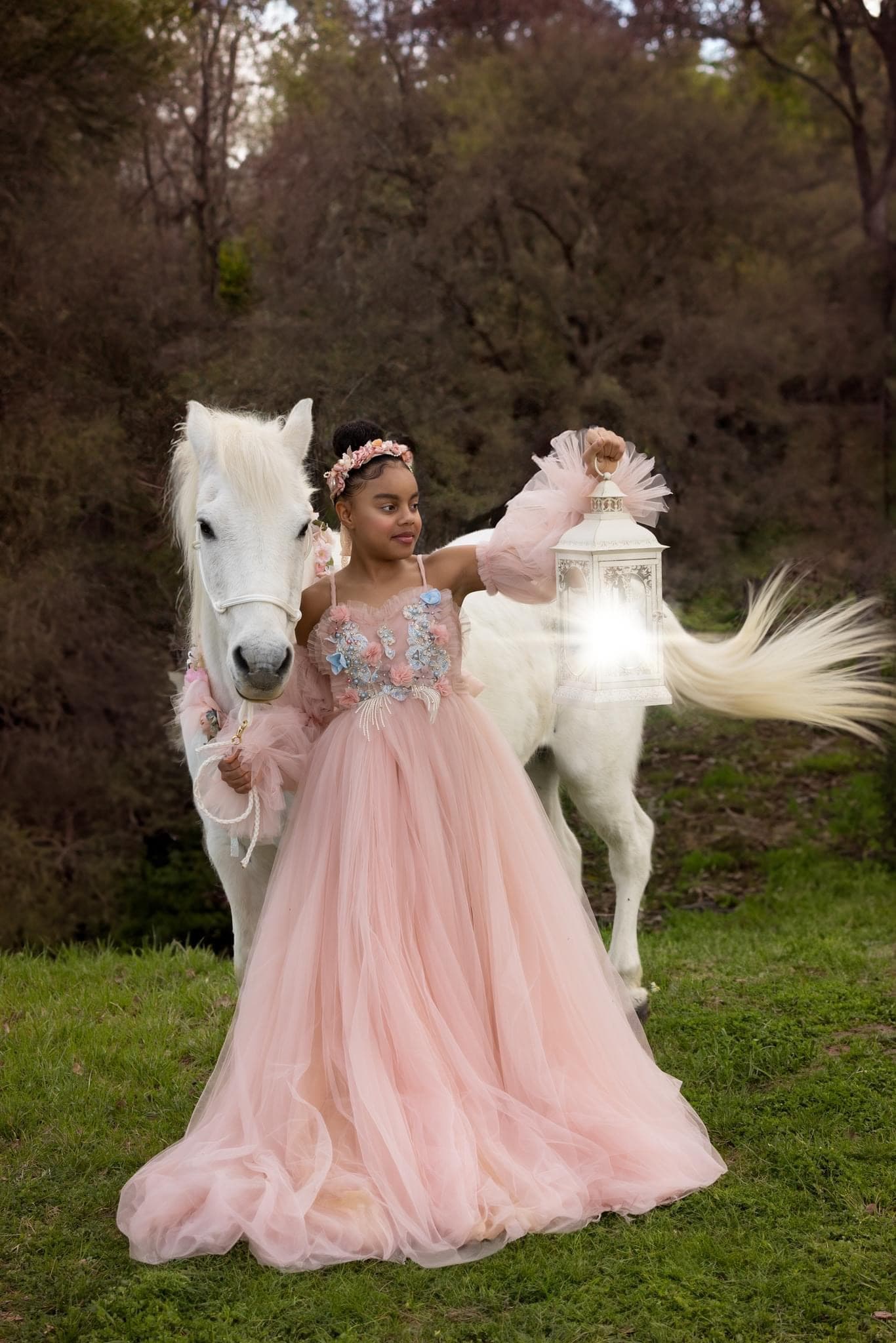 Modern Studios Photography - Fine Art boudoir photographer in Arlington